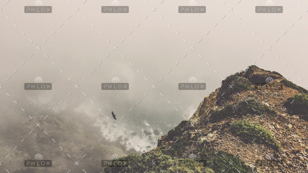 demo attachment 29 photo 1428342109953 409d2876cdab