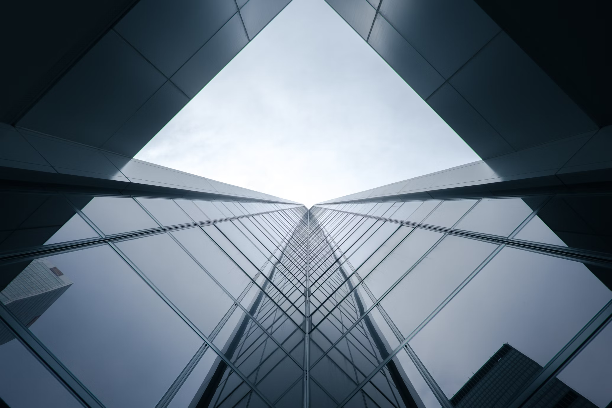 Portfolio Page Image Gallery 4